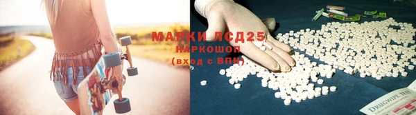 тгк Медногорск