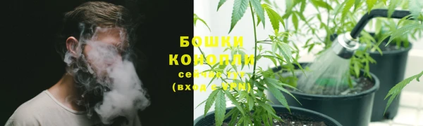 дживик Березники
