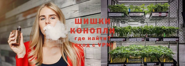 ГАЛЛЮЦИНОГЕННЫЕ ГРИБЫ Мегион