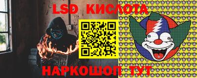 прущие грибы Балахна