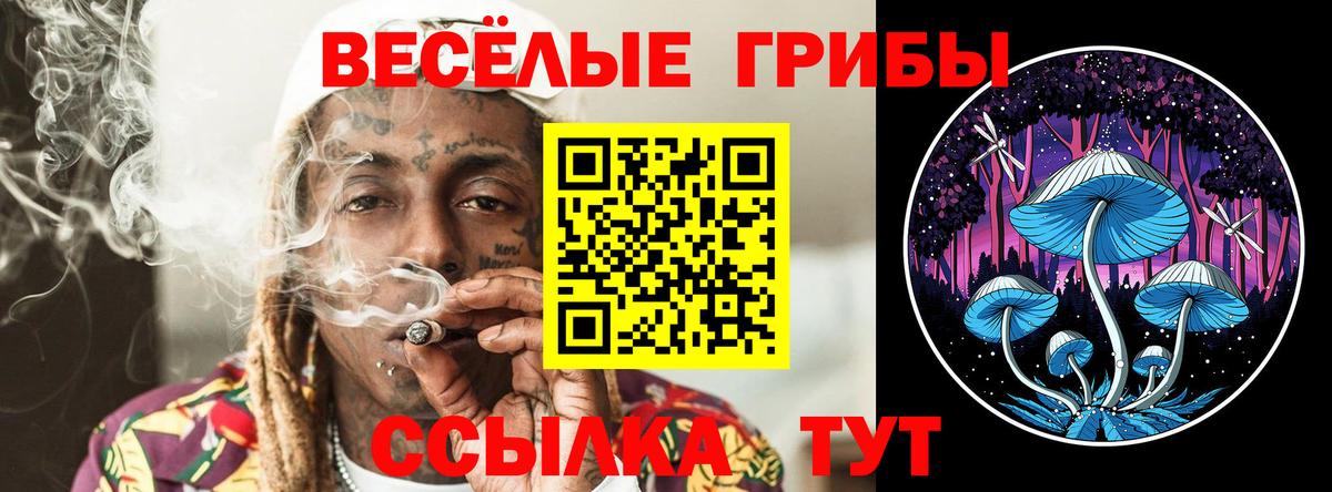 Псилоцибиновые грибы Psilocybine cubensis Дзержинск